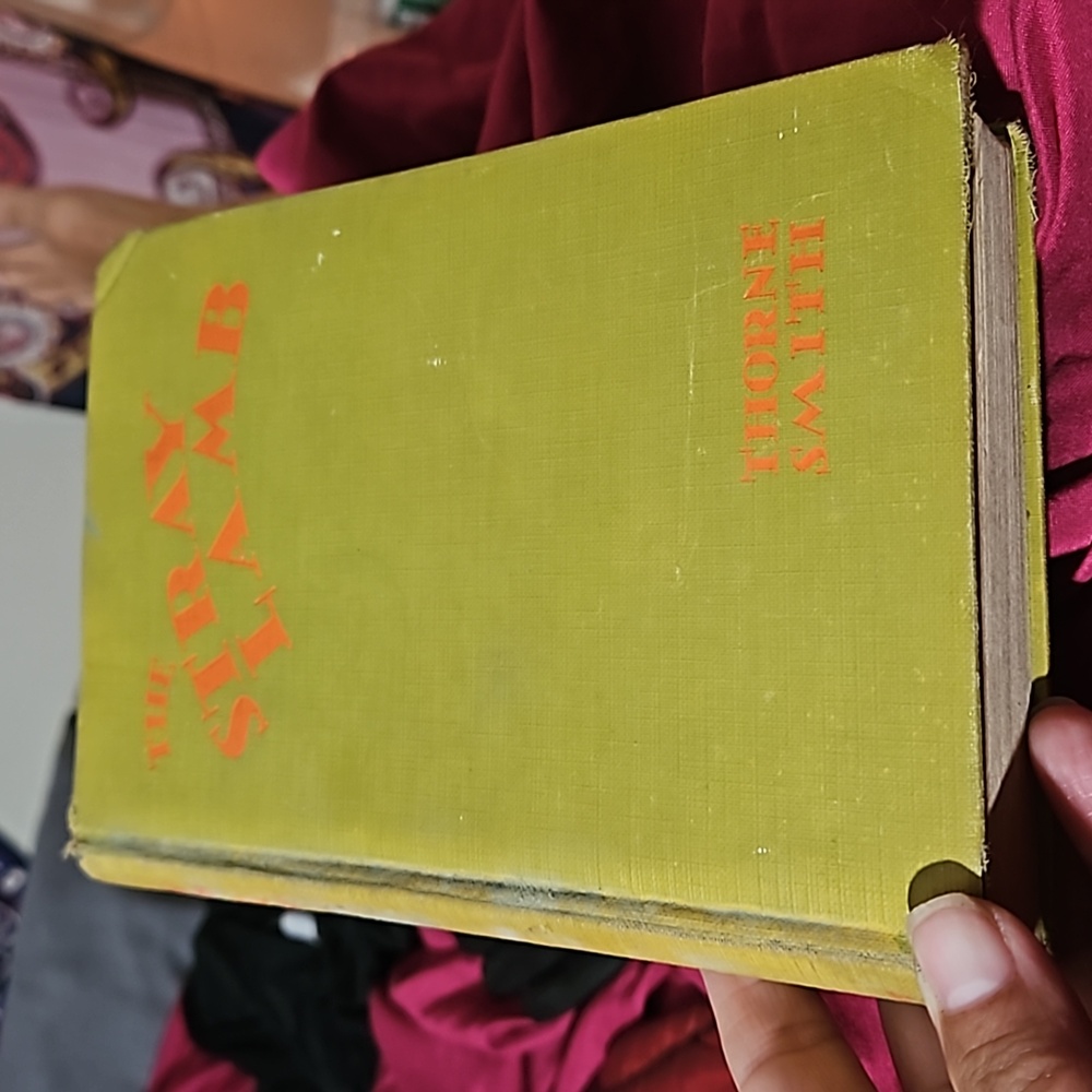 1929 1st printing The stray Lamb by Thorne Smith Antique
